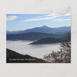 Die Farben des Herbstes... Postkarte