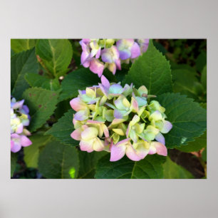 die Farben des Sommers Poster