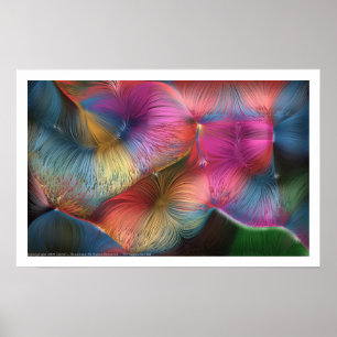 Die Farben im Haar Poster