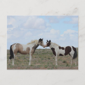 Die Farben Postkarte