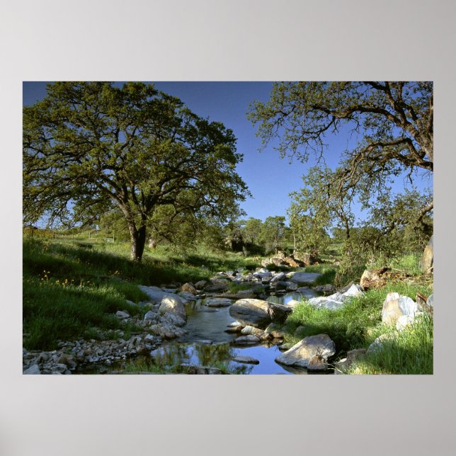 Die faszinierende Natur Poster (Vorne)