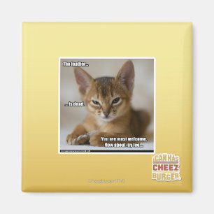 Die Feder ist tot. Magnet