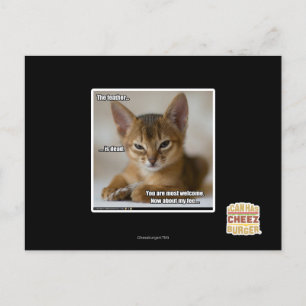 Die Feder ist tot. Postkarte