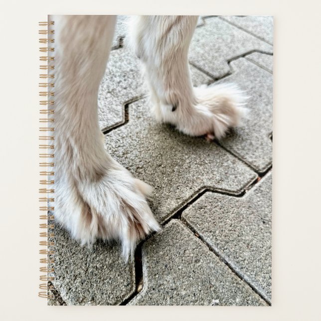 Die Fee Goofy Grinch Paws Planner Planer (Vorderseite)