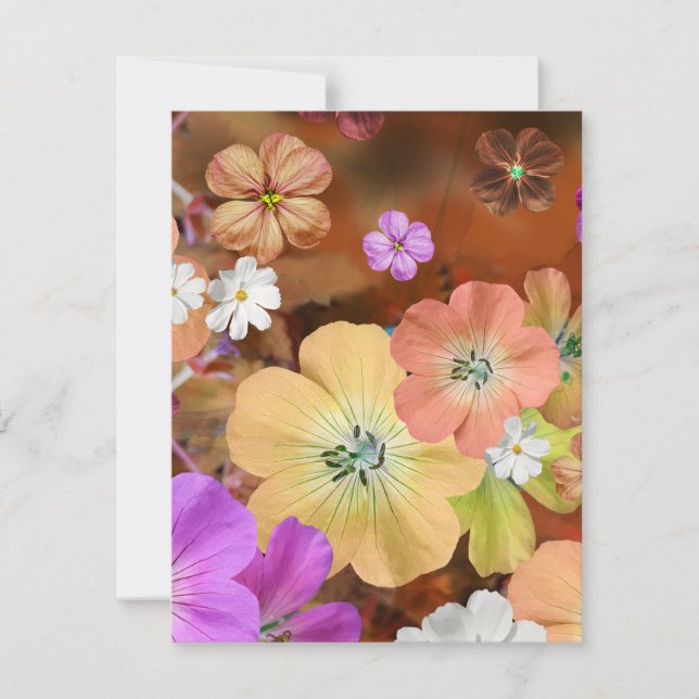 Die Fee wird bald 1 herauskommen Mitteilungskarte (Vorderseite)