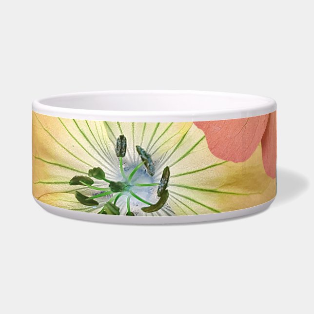 Die Fee wird bald 1 herauskommen Napf (Vorderseite)