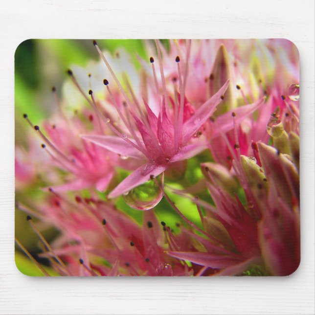 Die feenhafte Krone Mousepad (Vorne)