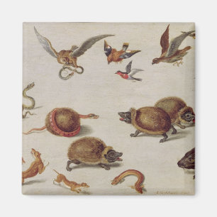 Die Feinde der Schlangen Magnet