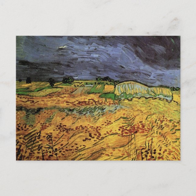 Die Felder von Vincent van Gogh Postkarte (Vorderseite)