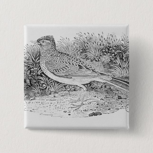 Die Feldlerche Button (Vorderseite)