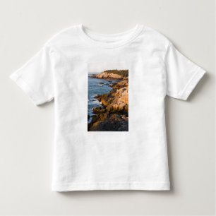 Die Felsenküste von Isle au Haut in Maine Kleinkind T-shirt