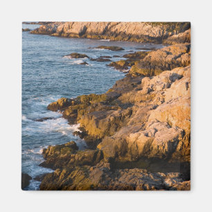 Die felsige Küste von Isle au Haut in Maines Magnet