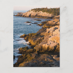 Die felsige Küste von Isle au Haut in Maines Postkarte