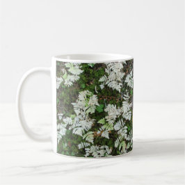 Die Fernen des Glacier Nationalparks, Tasse Montan