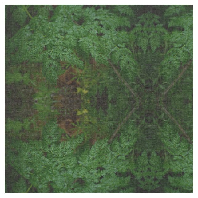 Die Ferns Stoff (Nahaufnahme)