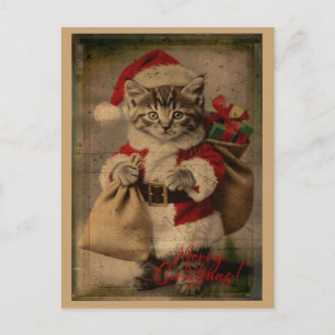 Die 'Festive Folly'-Kätzchen-Weihnachtskarte Postkarte