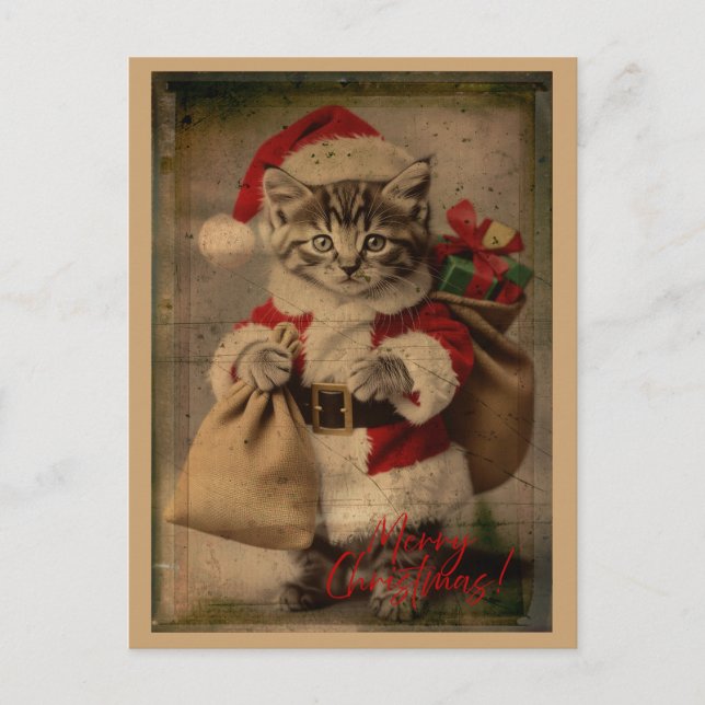 Die 'Festive Folly'-Kätzchen-Weihnachtskarte Postkarte (Vorderseite)