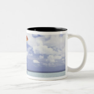 Die Fische springend vom Aquarium Zweifarbige Tasse