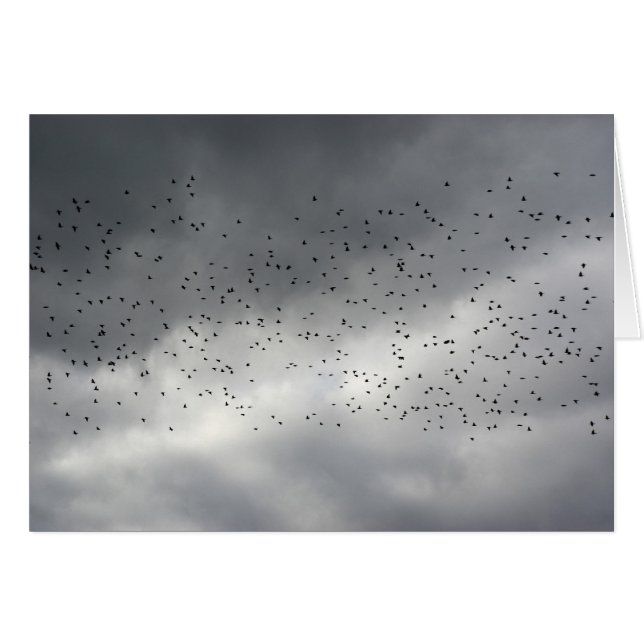 Die Fixierkarte (Vorderseite (Horizontal))