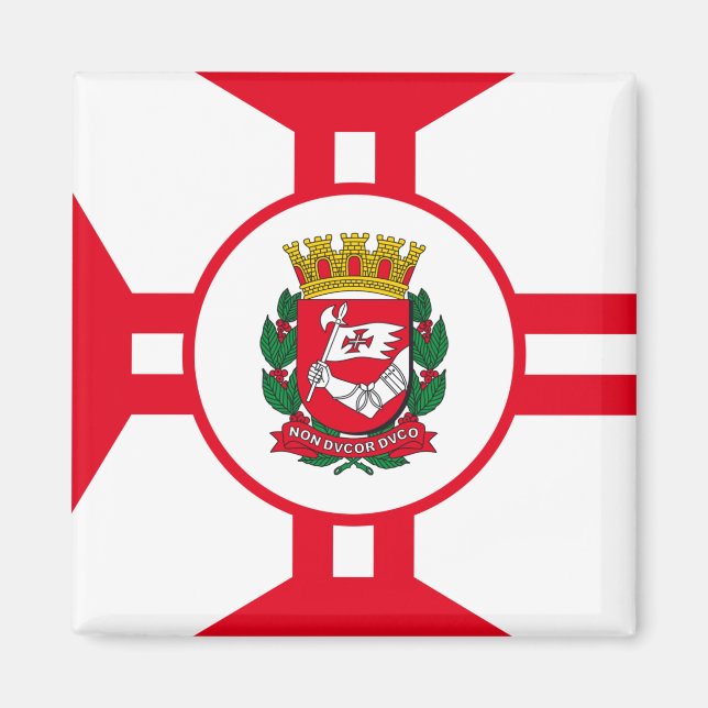 Die Flagge der Stadt São Paulo Magnet (Vorne)