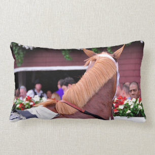 Die Flaxen "ganz enthaltenen " Lendenkissen