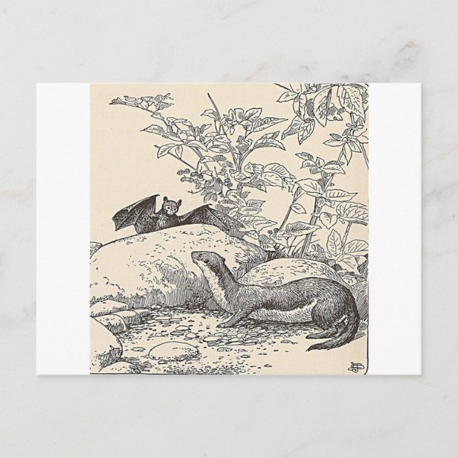 Die Fledermaus und der Nerz Postkarte (Vorderseite)