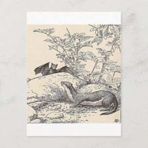Die Fledermaus und der Nerz Postkarte