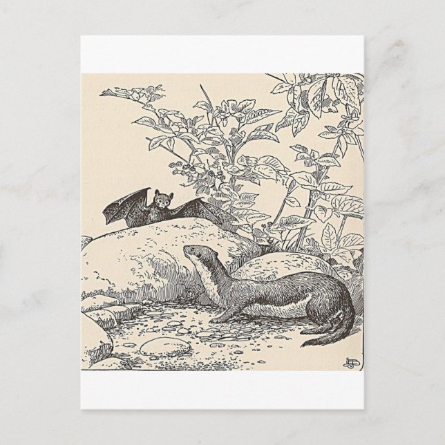 Die Fledermaus und der Nerz Postkarte (Vorderseite)