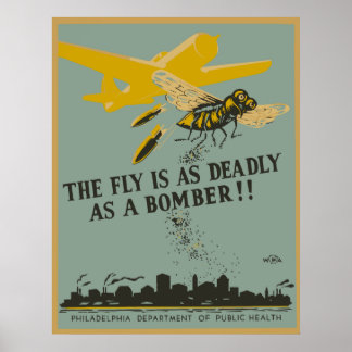 Die Fliege ist so tödlich wie ein Bomber Poster