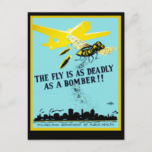 Die Fliege ist so tödlich wie ein Bomber Postkarte