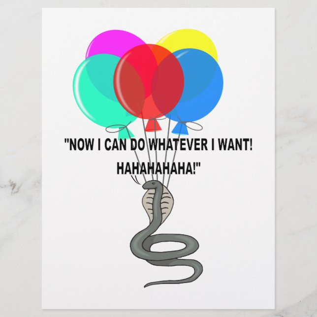 Die fliegende Schlange (Vorderseite)