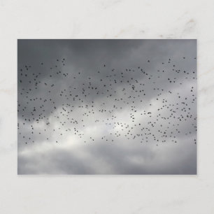 Die Flock-Postkarte Postkarte