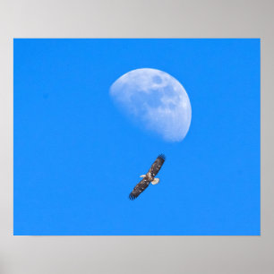 Die Flucht über den Mond Poster