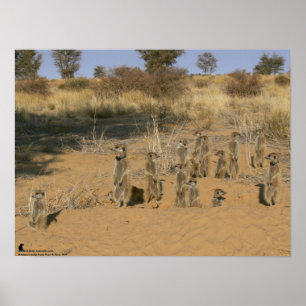 Die Fluffernutter-Kollektion - Familie Poster