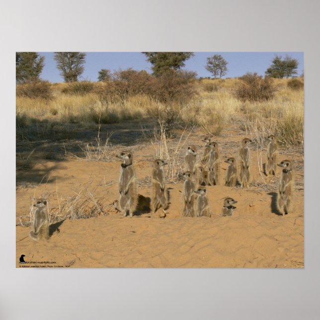 Die Fluffernutter-Kollektion - Familie Poster (Vorne)