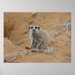 Die Fluffernutter Kollektion - Lächeln Poster