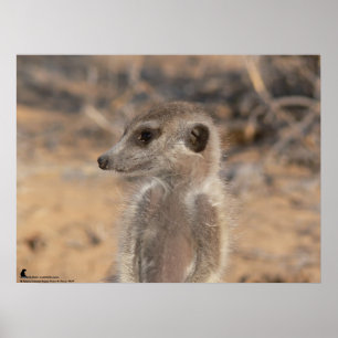 Die Fluffernutter Sammlung - träumend Poster