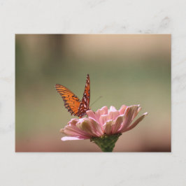 Die Flügel — Schmetterlingspostkarte Postkarte