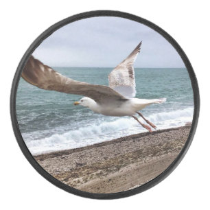 Die französische Möwe von Etretat Eishockey Puck