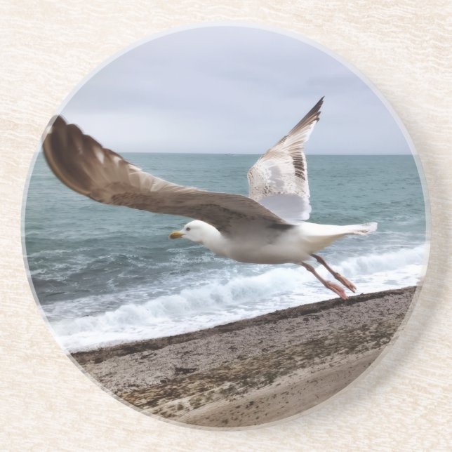 Die französische Möwe von Etretat Getränkeuntersetzer (Vorne)