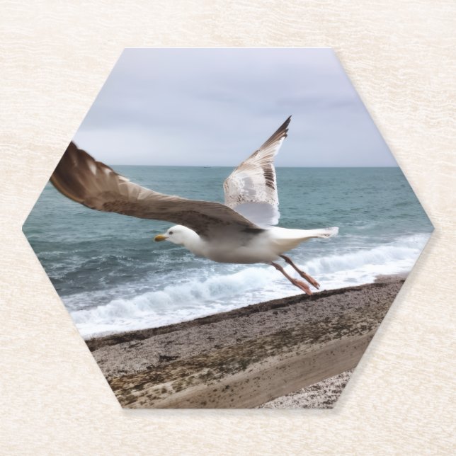 Die französische Möwe von Etretat Untersetzer (Vorderseite)