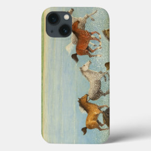 Die Freiheit 2013 Case-Mate iPhone Hülle