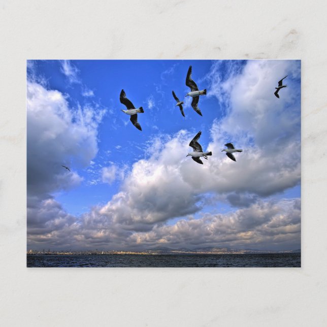 Die Freiheit zu fliegen hat unsere Flügel Postkarte (Vorderseite)