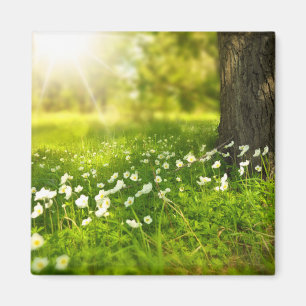 Die Freuden des Frühlings Magnet