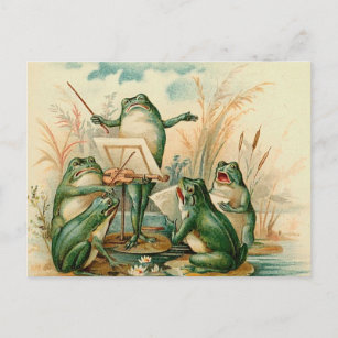 Die Froschband Postkarte