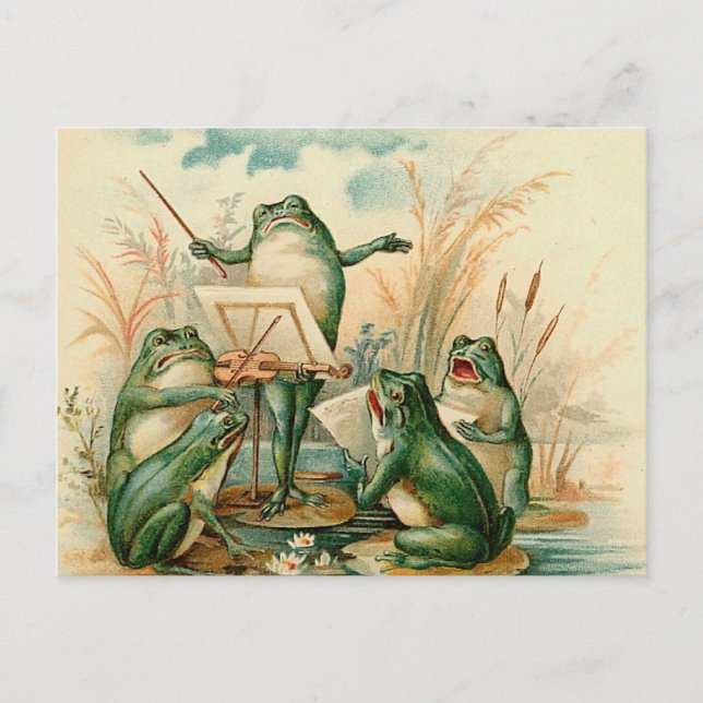 Die Froschband Postkarte (Vorderseite)