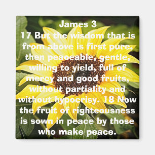 die Frucht der Bibel mit Versaillenblume Magnet