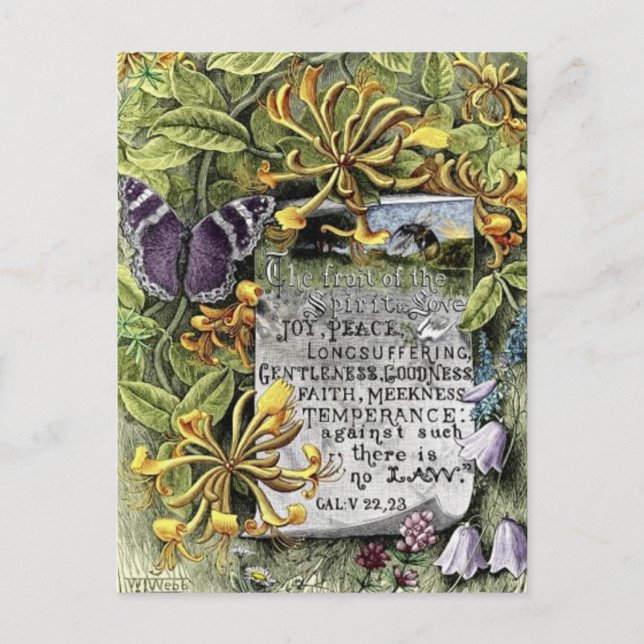 Die Frucht des Geistes Postkarte (Vorderseite)