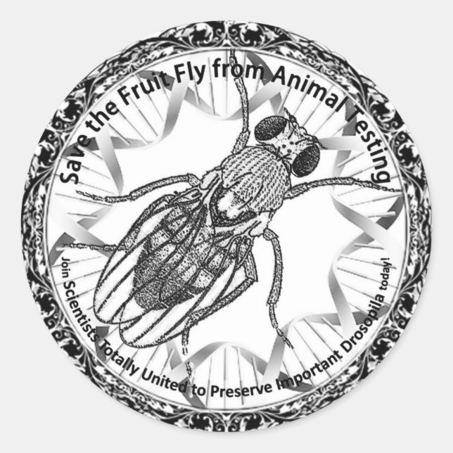Die Fruchtfliege gerettet Runder Aufkleber (Vorderseite)