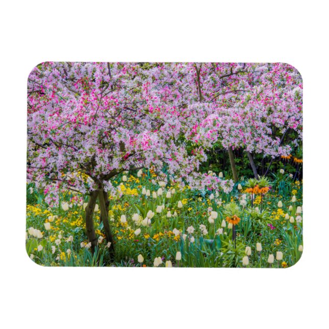 Die Frühlingszeit im Garten von Claude Monet Magnet (Horizontal)